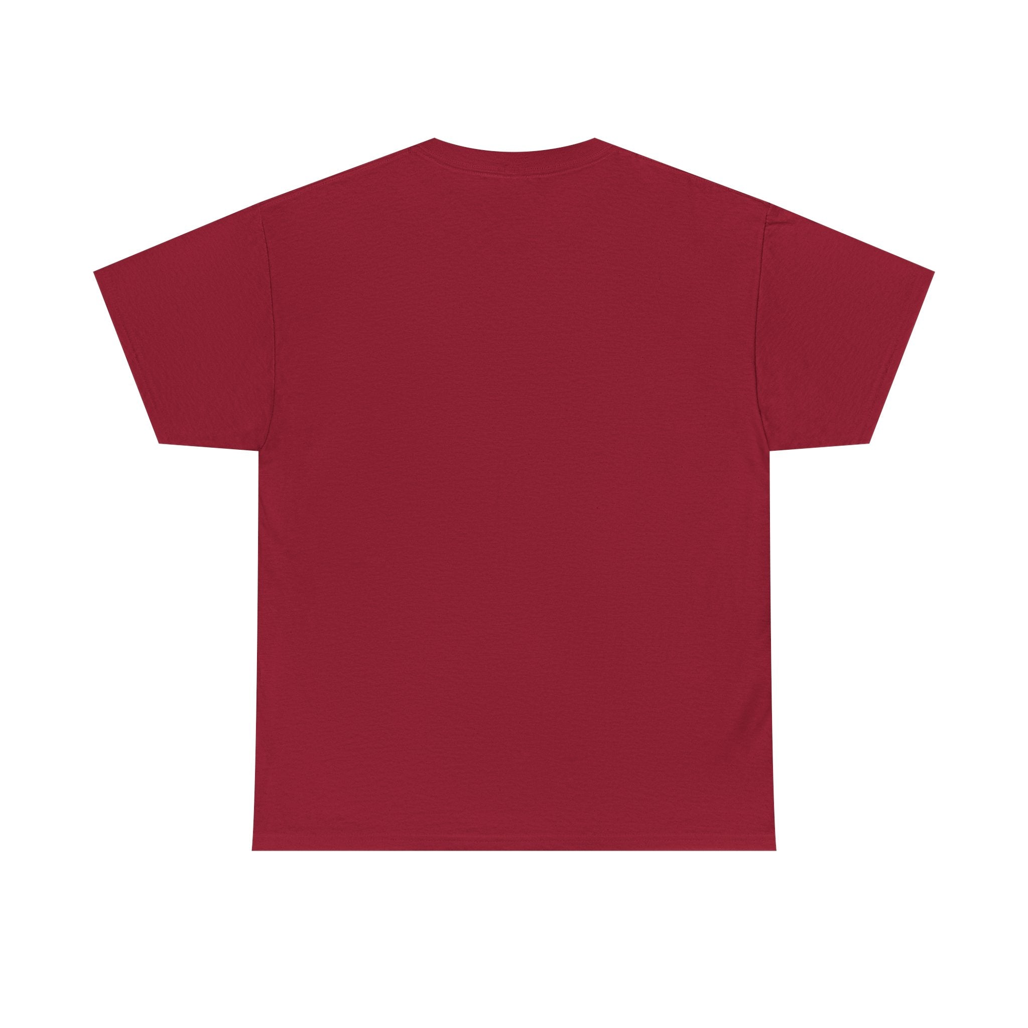 Raideress Hawk Unisex Heavy Cotton Tee