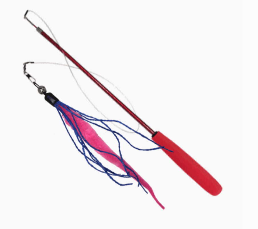 Wiggly Wand Cat Toy