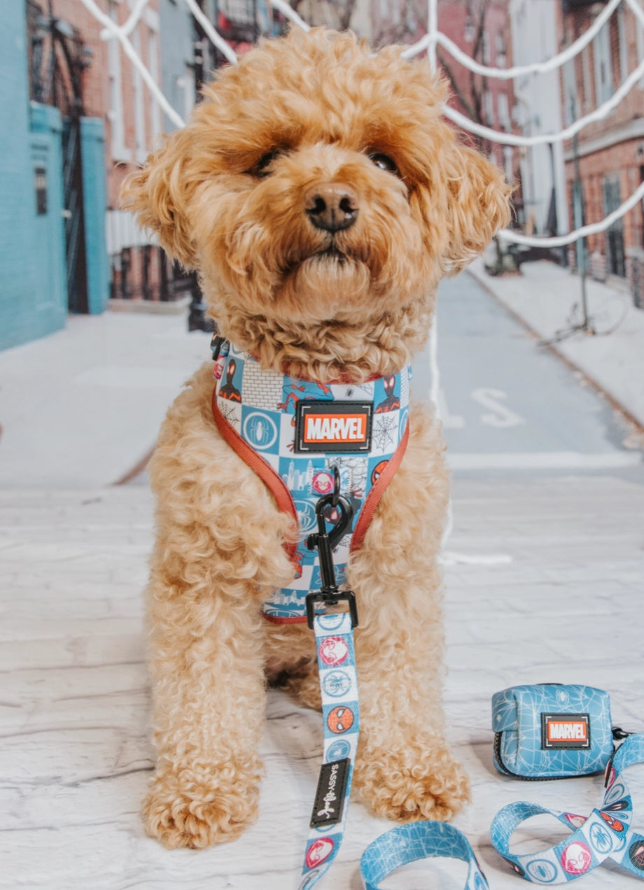 Dog Adjustable Harness - Marvel’S Spider-Man